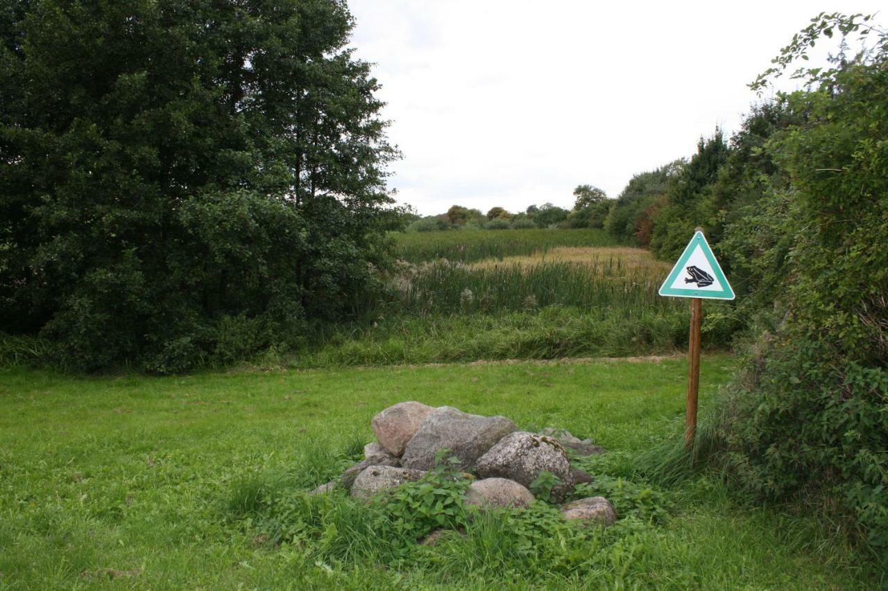 Landpension Zum Schweizerberg Neugrimnitz Zewnętrze zdjęcie