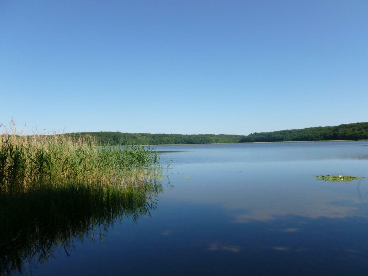 Landpension Zum Schweizerberg Neugrimnitz Zewnętrze zdjęcie