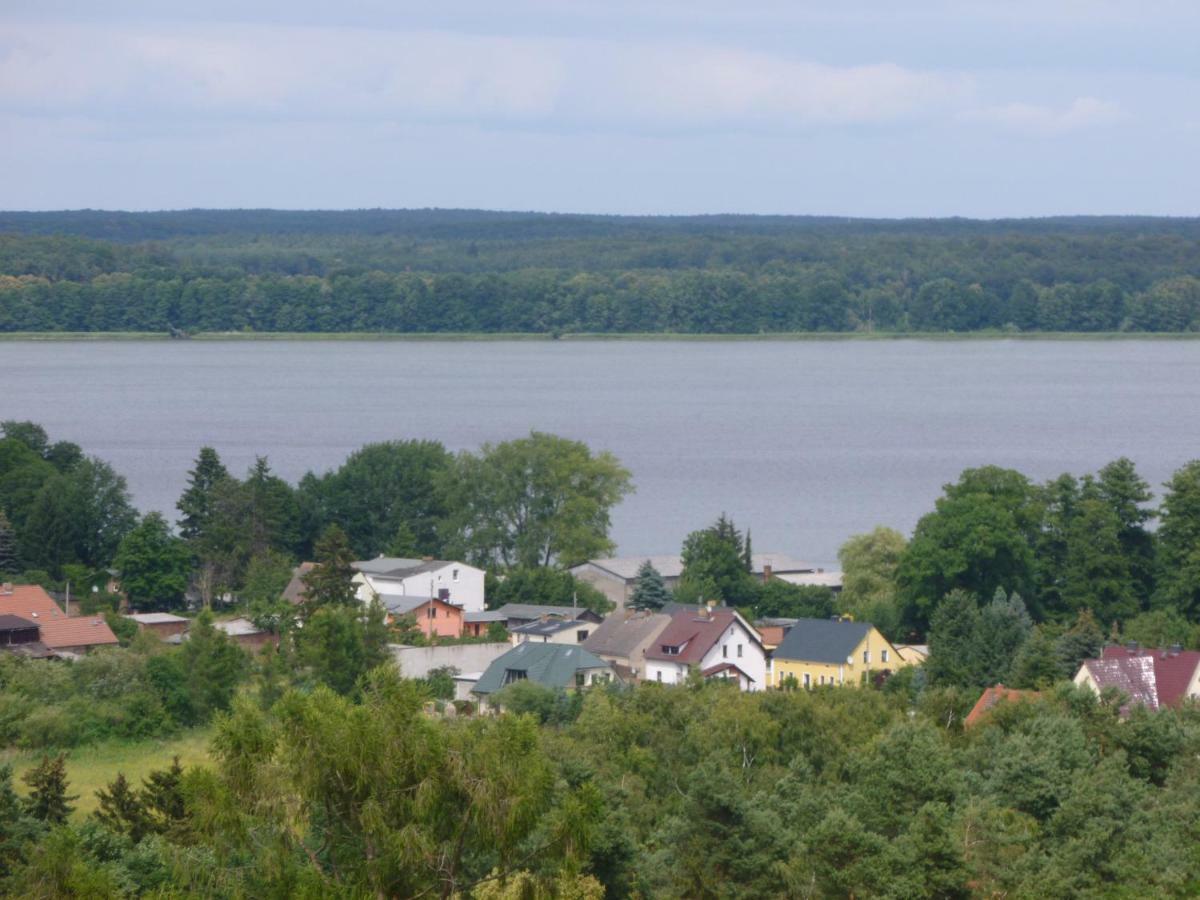 Landpension Zum Schweizerberg Neugrimnitz Zewnętrze zdjęcie