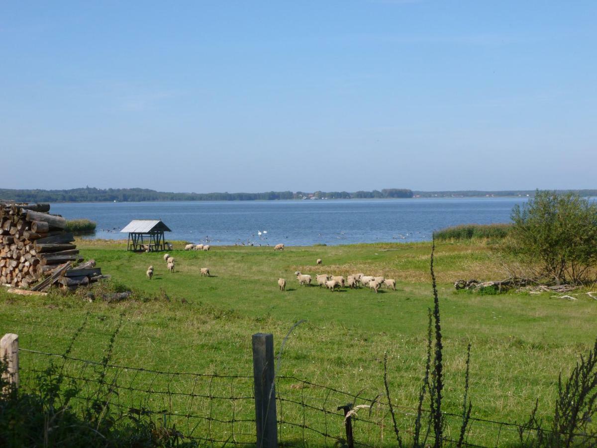 Landpension Zum Schweizerberg Neugrimnitz Zewnętrze zdjęcie
